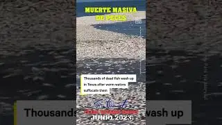 Terrorífico.. MILES de PECES sin VIDA en TEXAS!!