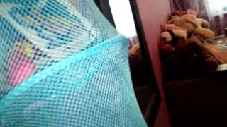 Первая часть моего первого  блога