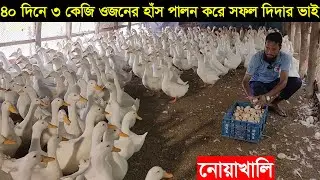 ৪০ দিনে ৩ কেজি ওজনের ফান্সের পিকিং হাঁস পালন করে নোয়াখালির দিদার ভাই মাসে আয় লাখ টাকা