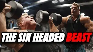 POST SHOW REBOUND | HOW IM GROWING MY SHOULDERS
