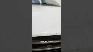 How To Remove Bugs From Paint