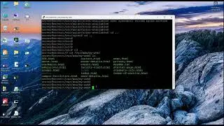 4 Basic Nginx Configuration   Serving Static Website