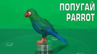 Попугай Parrot лепка не сохранилась