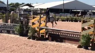 WEF Res Champion 3'3