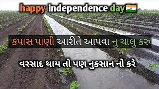 કપાસિયા ના ખાલા પુરી પૂરીને થાકી ગયા ll વાવણી ના કપાસ માં પાણી ચાલુ કરું