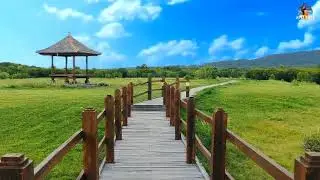 background  pemandangan