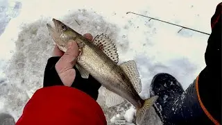 Ловля хищника зимой 