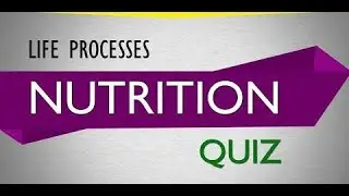 Hottest Trends From The World of interactive quiz on modes of nutrition