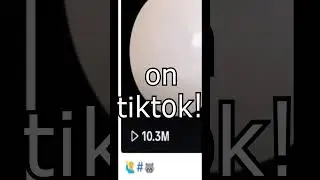My first time be like: 