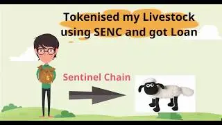 Sentinel Chain Review