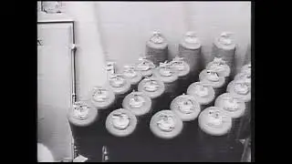 Hedgehog Depth Bomb