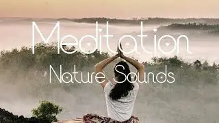 Nature sounds | Meditation by the Woods | Relaxing ambient music