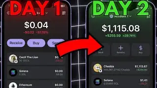 I Tried Solana Crypto MEME COINS for a Week!