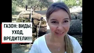ГАЗОН: ВИДЫ, УХОД, ВРЕДИТЕЛИ!!!