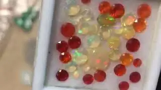 E012B52B 9C73 4044 80D8 89FDCD7CE492