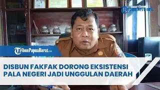 DISBUN FAKFAK DORONG EKSISTENSI PALA NEGERI JADI UNGGULAN DAERAH