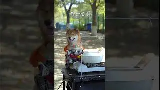 #Short