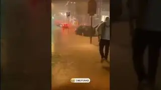 Приколы