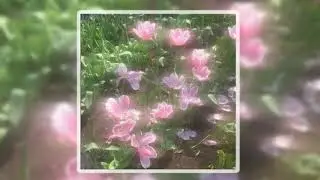 (FREE) Dreamcore X Ethereal 
