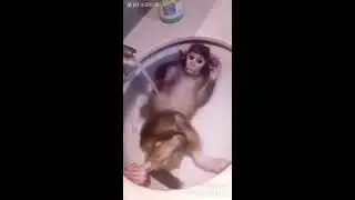 принятие ванны