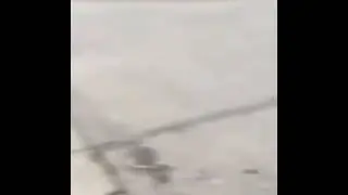National Geographic Shit