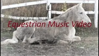 Equestrian Music Video