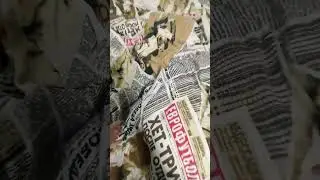 ВЛАД НА КОНДИЦИЯХ СНОВА