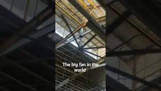 world biggest fan