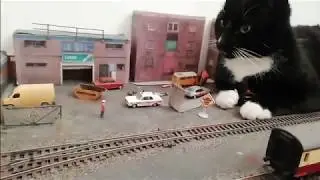 Cat Kong V Train