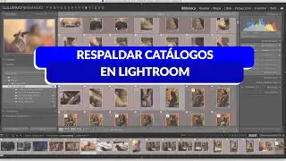 Respaldar catálogos en Lightroom