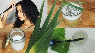 Verwendungen von Aloe Vera » DIY Brow Gel, Leave-In Conditioner, Wellness Drink & mehr