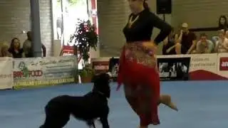 Câine dansând.