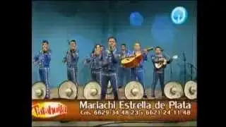 " El Primer Tonto " " Mariachi Estrella De Plata "