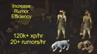 How to Set Up Hunter Rumors