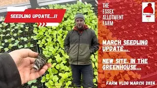 GREENHOUSE & SEEDLING UPDATE IN MARCH - We are ready for more planting!