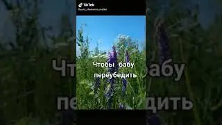 Логикой жену не победить!