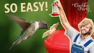 Hummingbirds: The Best Nectar and Feeder for Your Yard