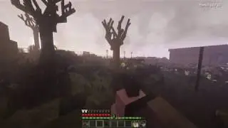 S.T.A.L.K.E.R. in Minecraft