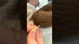Amezing chocolate 🍫 cobra snake 🐍 / How To Make Chocolate Cobra Snake / real talent #shorts