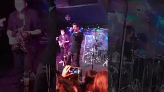 Дмитрий Колдун - Пёс бродячий. Москва, 25.01.2025. 