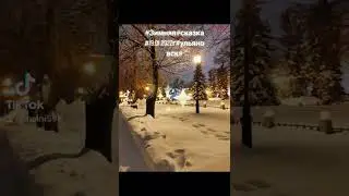 ЗИМНЯЯ СКАЗКА в Ульяновске на Крещение Господне.
