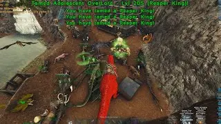 CONQUEST RAID EVERYONE  ! Ark official Pvp