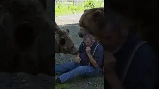We live with 11 Bears! 