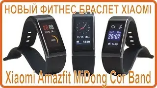 Xiaomi MiDong Amazfit Cor SmartBand - the new smart fitness bracelet Xiaomi, review.