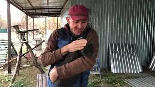 Deaf - Идёт дождь крыша