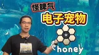 我的电子宠物 honey ：把一个随机变成了跟我有关的随机