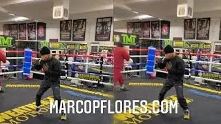 GERVONTA DAVIS SHADOWBOXING BEFORE MARIO BARRIOS FIGHT