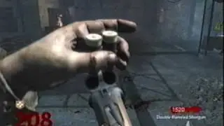 Call of Duty : WaW  Nazi Zombies 