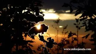 Free music for your films download - slow motion demo