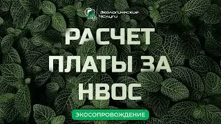 Расчет платы за негативное воздействие на окружающую среду (НВОС) 2023